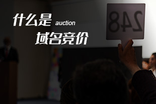 什么是域名竞价