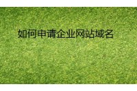 申请企业网站域名
