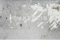 使用域名