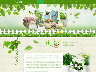 flowers-1131381