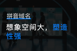 拼音域名