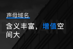 声母域名