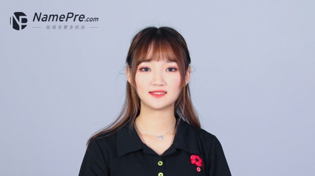 大卖117283枚域名的NamePre，这种出米方式别错过！